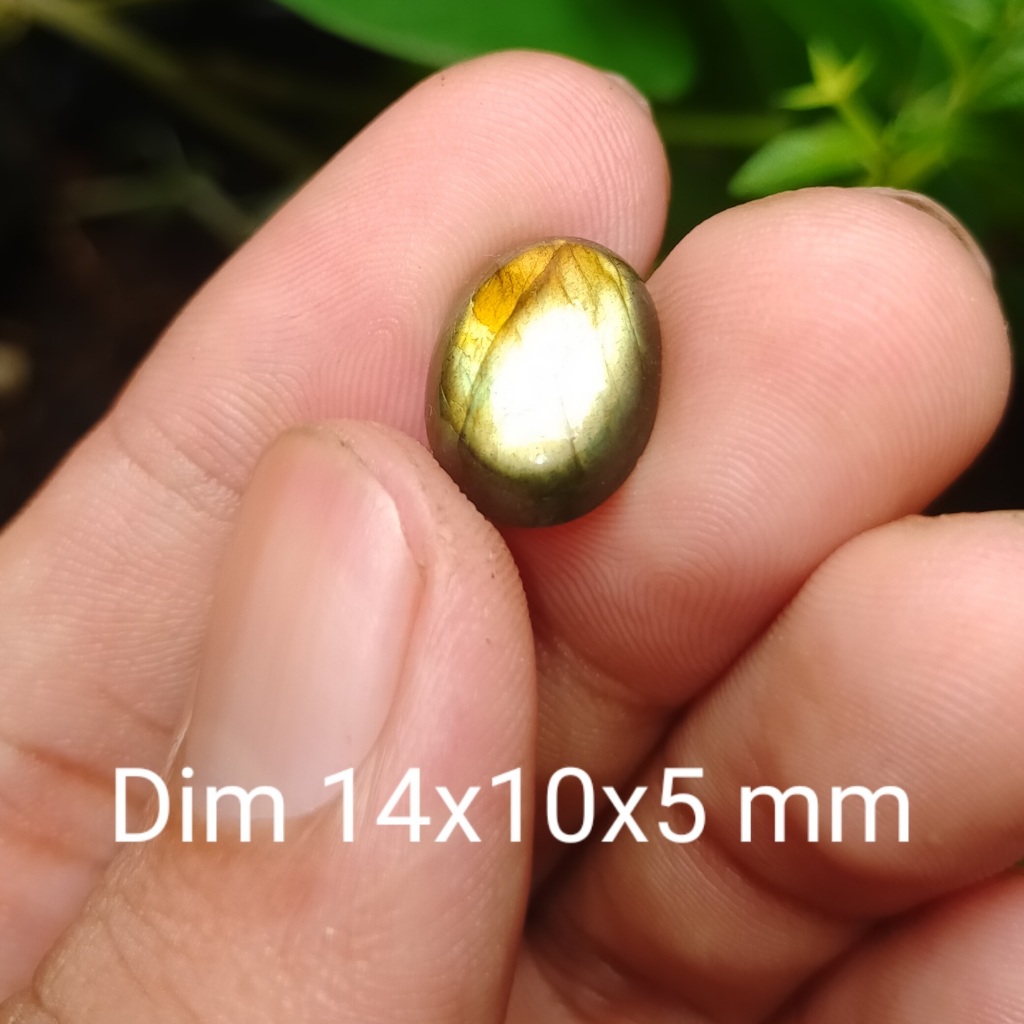 BATU LABOLADOR CAHAYA KUNING NATURAL cek batu lainnya yaman api wulung opal bacan permata kalimaya k