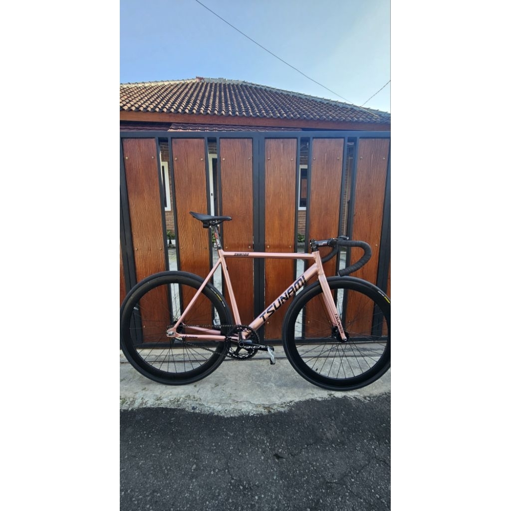Tsunami SNM 100 Fullbike
