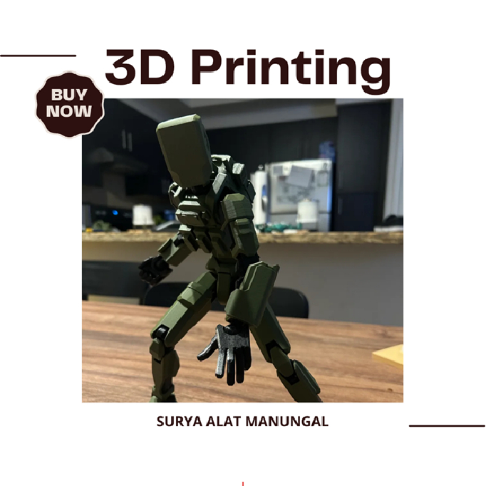 Dummy 13 Armor/Plate Carrier