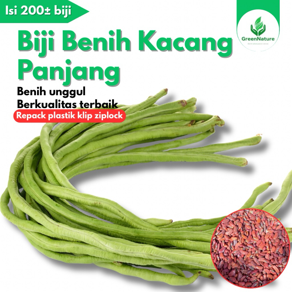 200± BIJI BENIH KACANG PANJANG GARDA