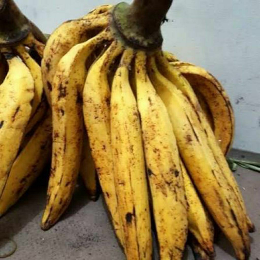 PISANG TANDUK SATU SISIR FRESH SEGAR