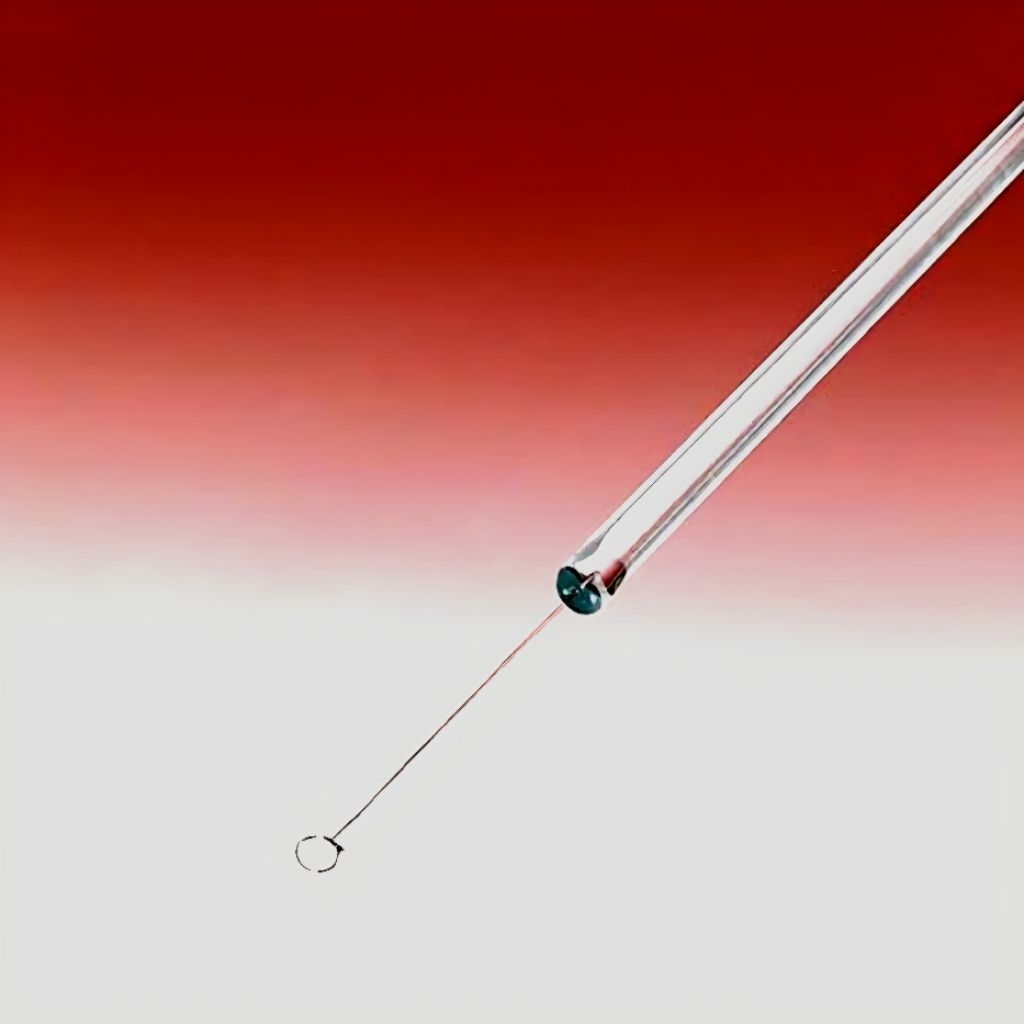 Ose bulat kaca batang ose inokulum laboratorium