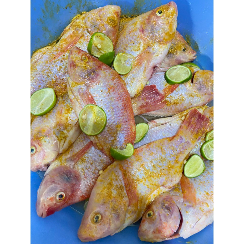 IKAN NILA SEGAR ISI 3  (BERAT 1 KG) BONUS TEMPE UNGKEP 5