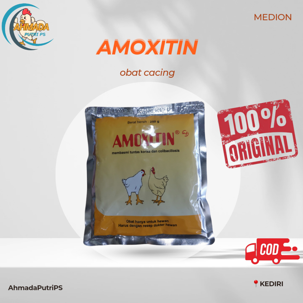 Amoxitin 250 gram MEDION obat korisa