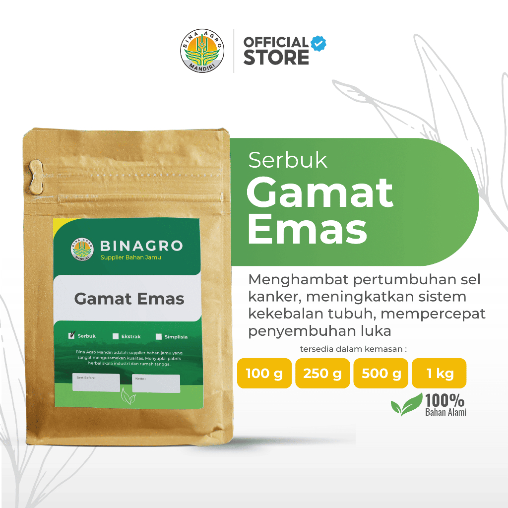 GAMAT EMAS Teripang Emas Serbuk Bubuk Jamu Gamat Emas Murni Tanpa Campuran Premium Binagro