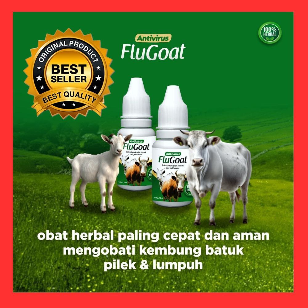 BACA DENGAN TELITI SEBELUM MEMBELI  Flugoat anti virus mengobati kejang ambruk kembung batuk pilek d