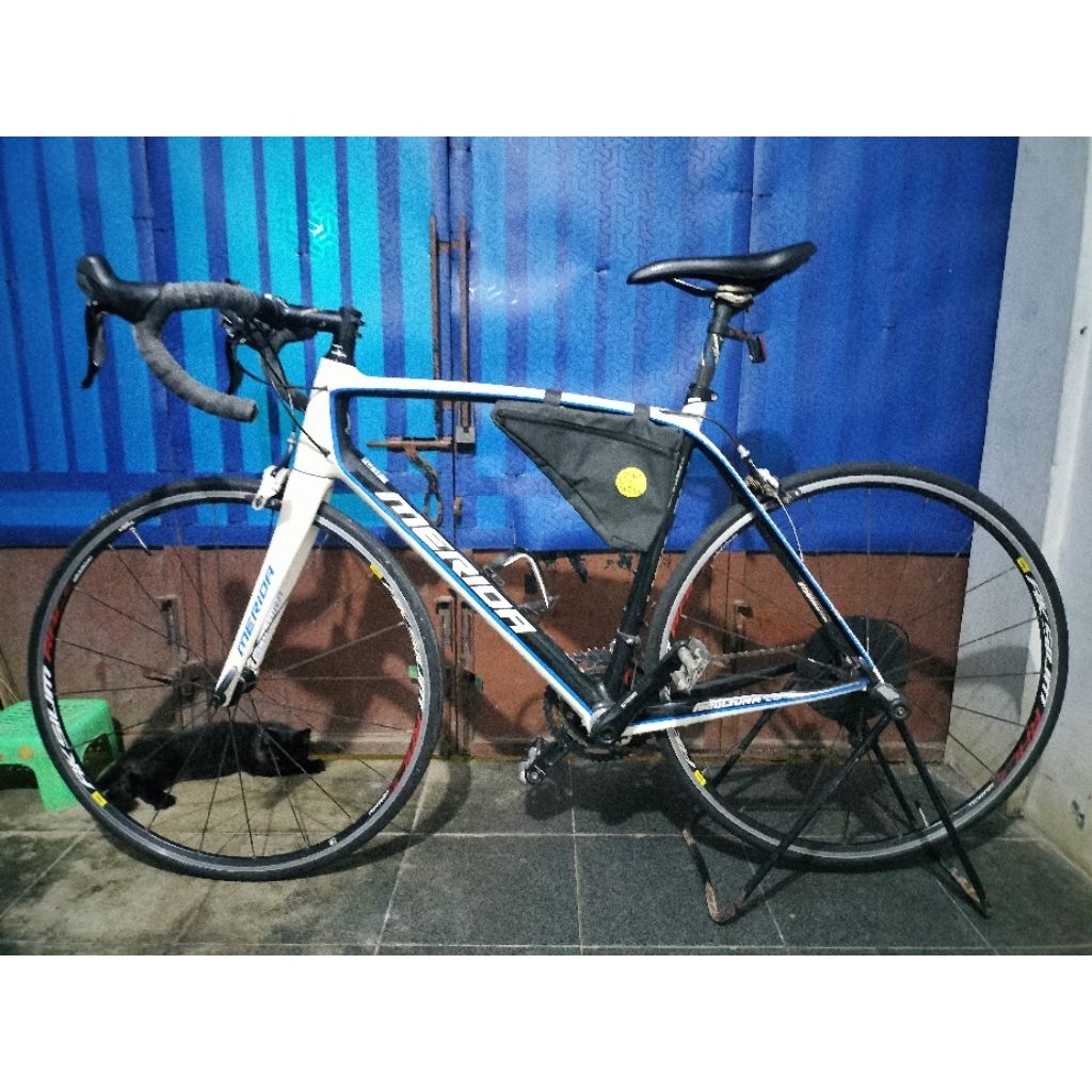 merida scultura comp 904