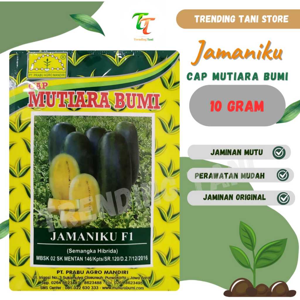 Benih Semangka Daging Kuning JAMANIKU F1 ISI 10 GRAM (Sekitar 300 - 350 butir benih) Cap Mutiara bum