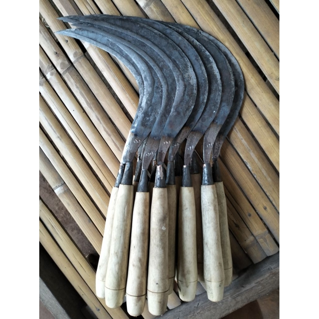 Arit anyih ukuran kecil khas madura