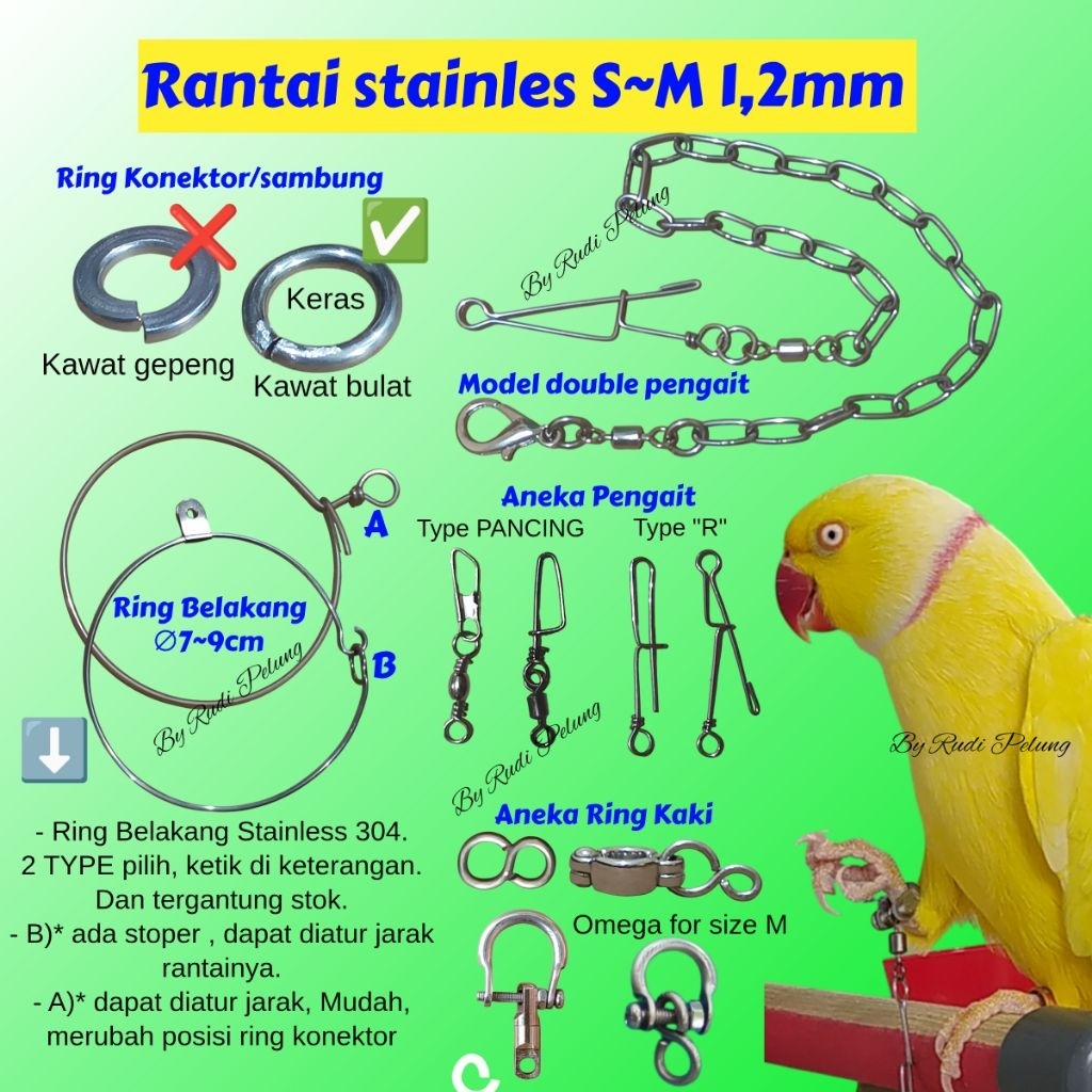 Rantai Kaki Burung parrot s m Stainless steel 1,2mm falk cockatiel ysc sun conure irn monk