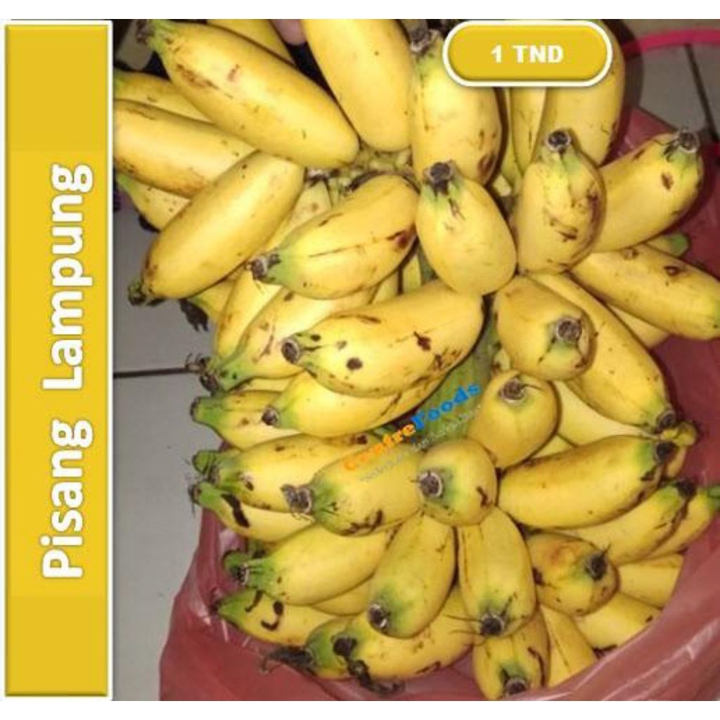 PISANG LAMPUNG SUPER PER 1 TANDAN