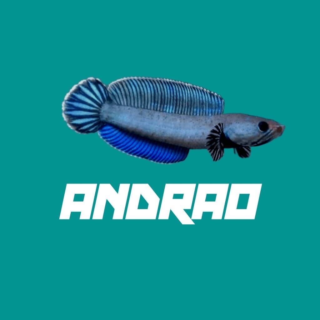 stiker andrao 6-7cm