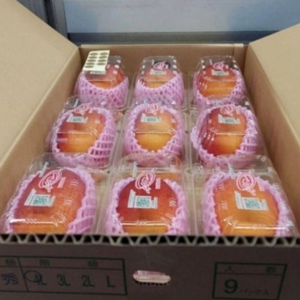 BUAH MANGGA MIYAZAKI / MANGGA JEPANG 1 PACK