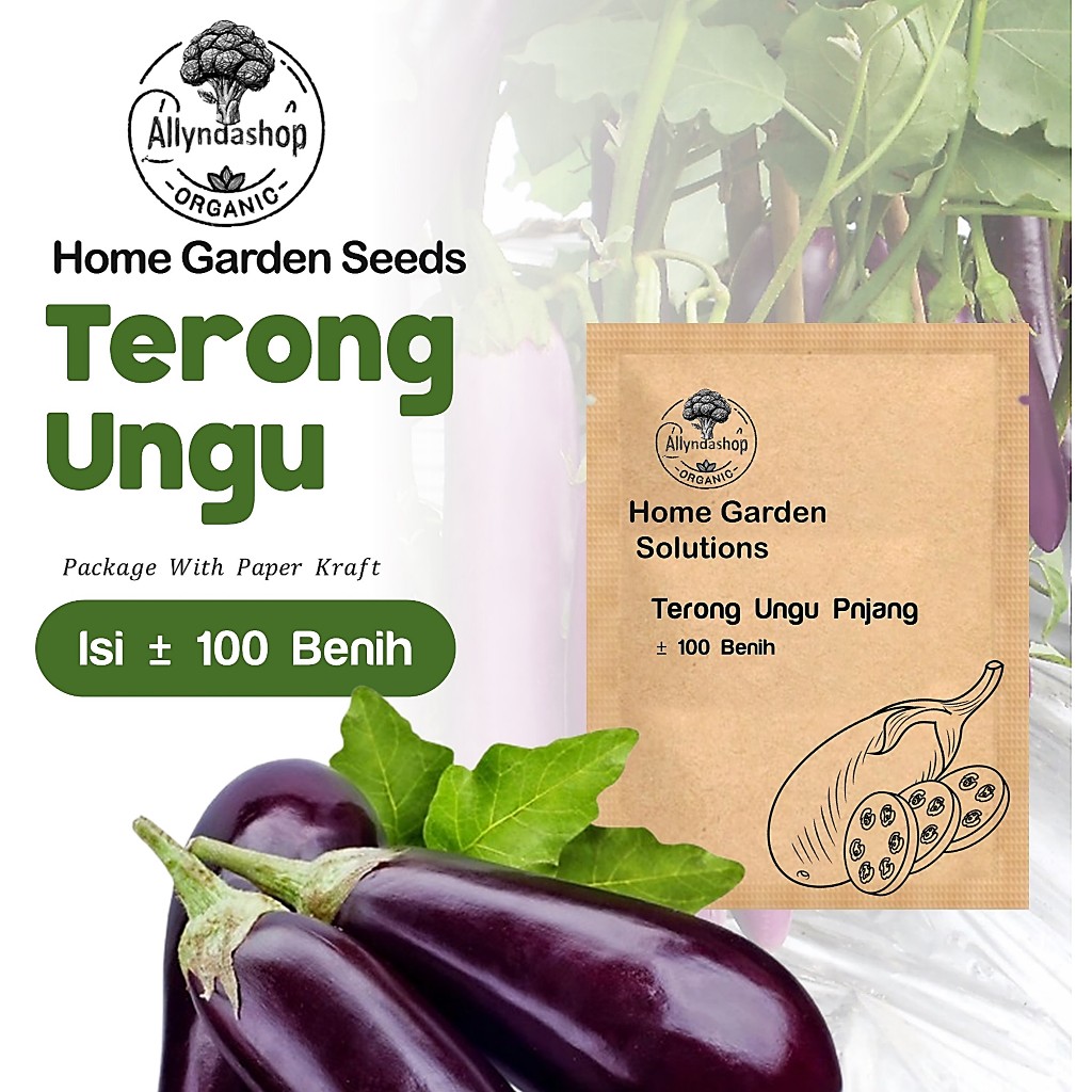 Benih Sayuran Terong Ungu Panjang Unggul