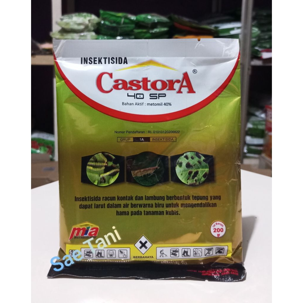 Insektisida Castora 40 SP 200 gr  /  Insektisida Hama pada Tanaman kubis / metomil 40%