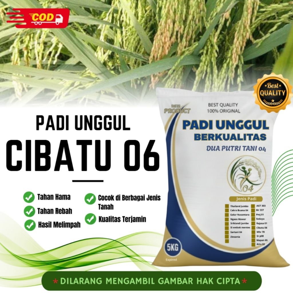 PADI CIBATU 06 kemasan 5kg
