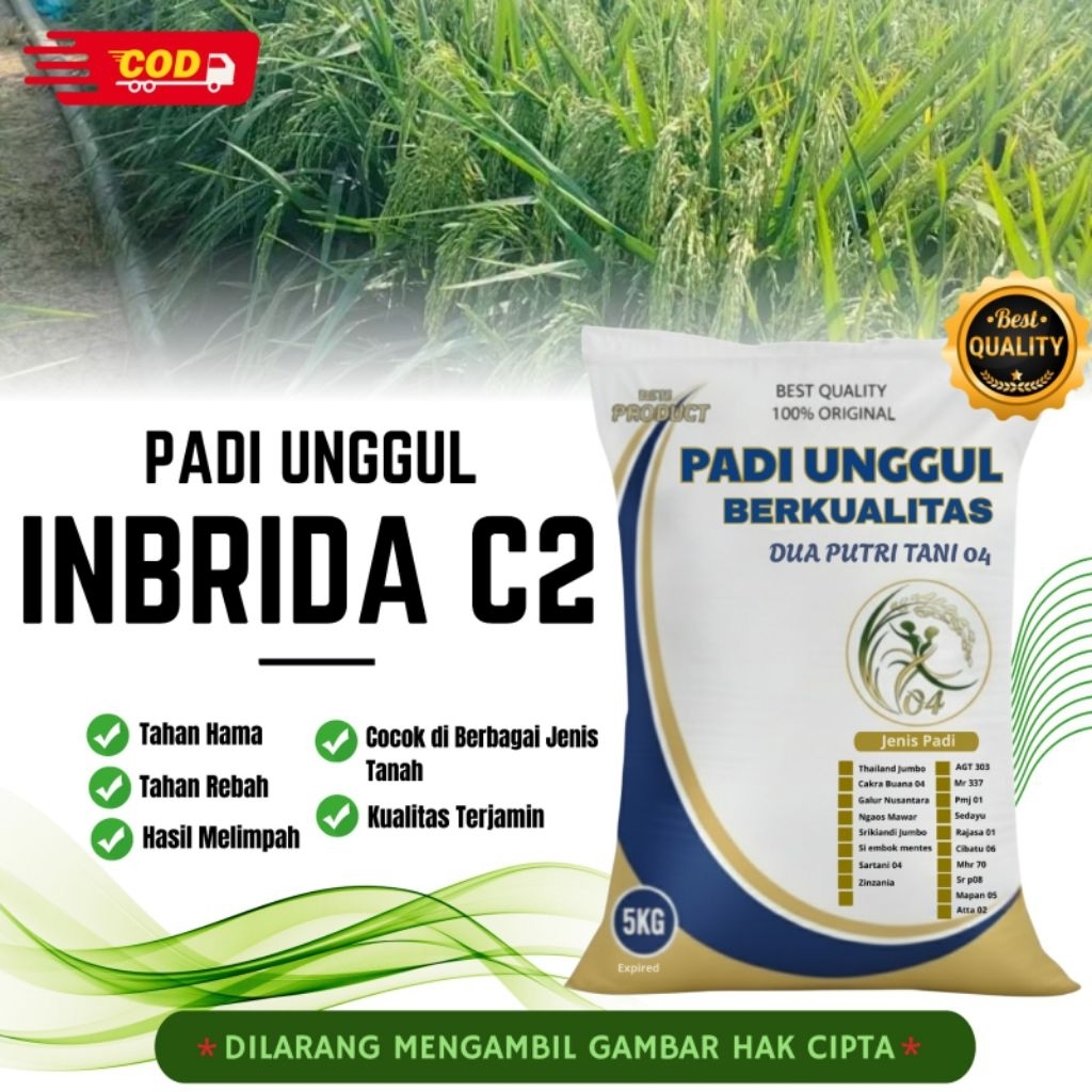 PADI INBRIDA C2 kemasan 5kg