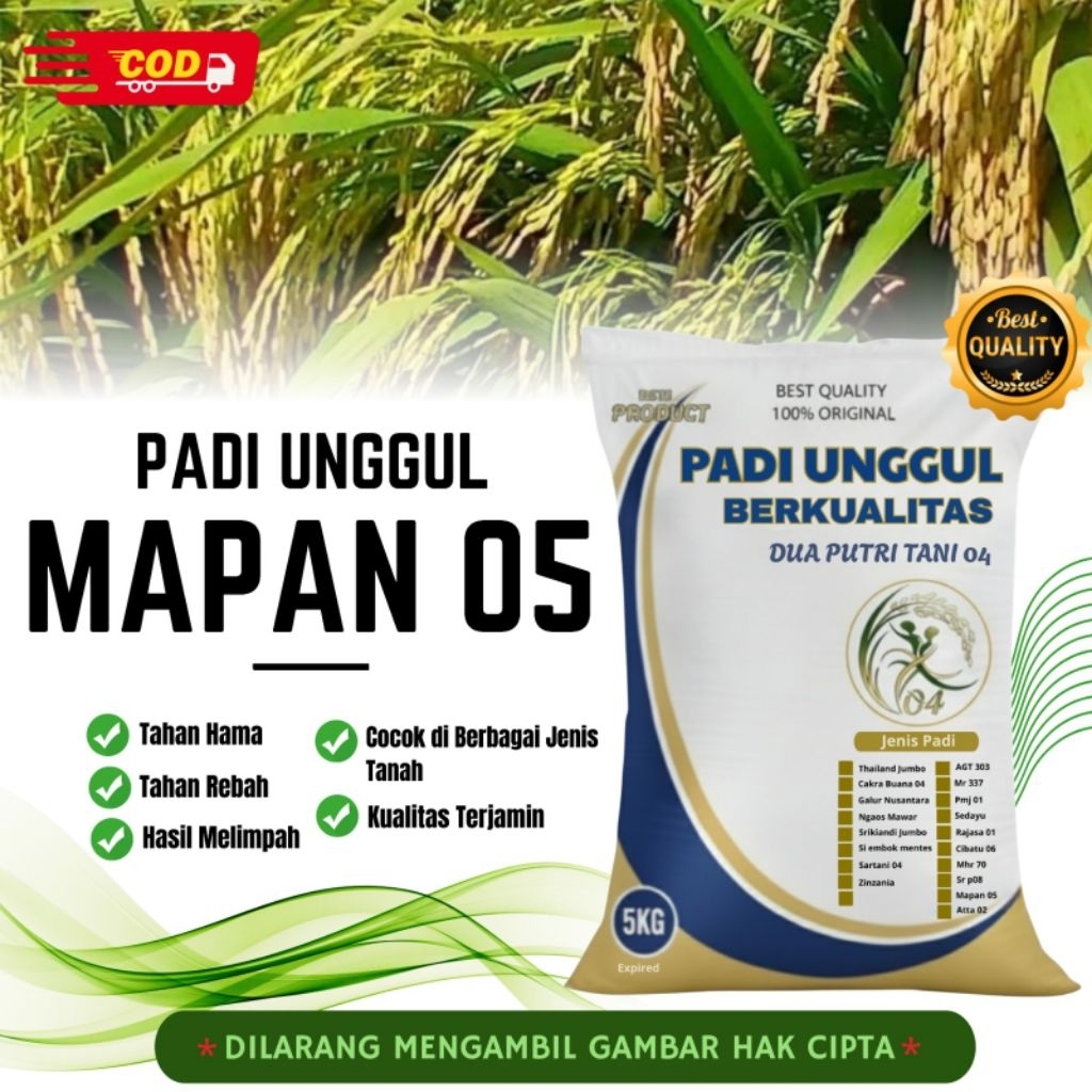 bibit PADI MAPAN 05 kemasan 5kg