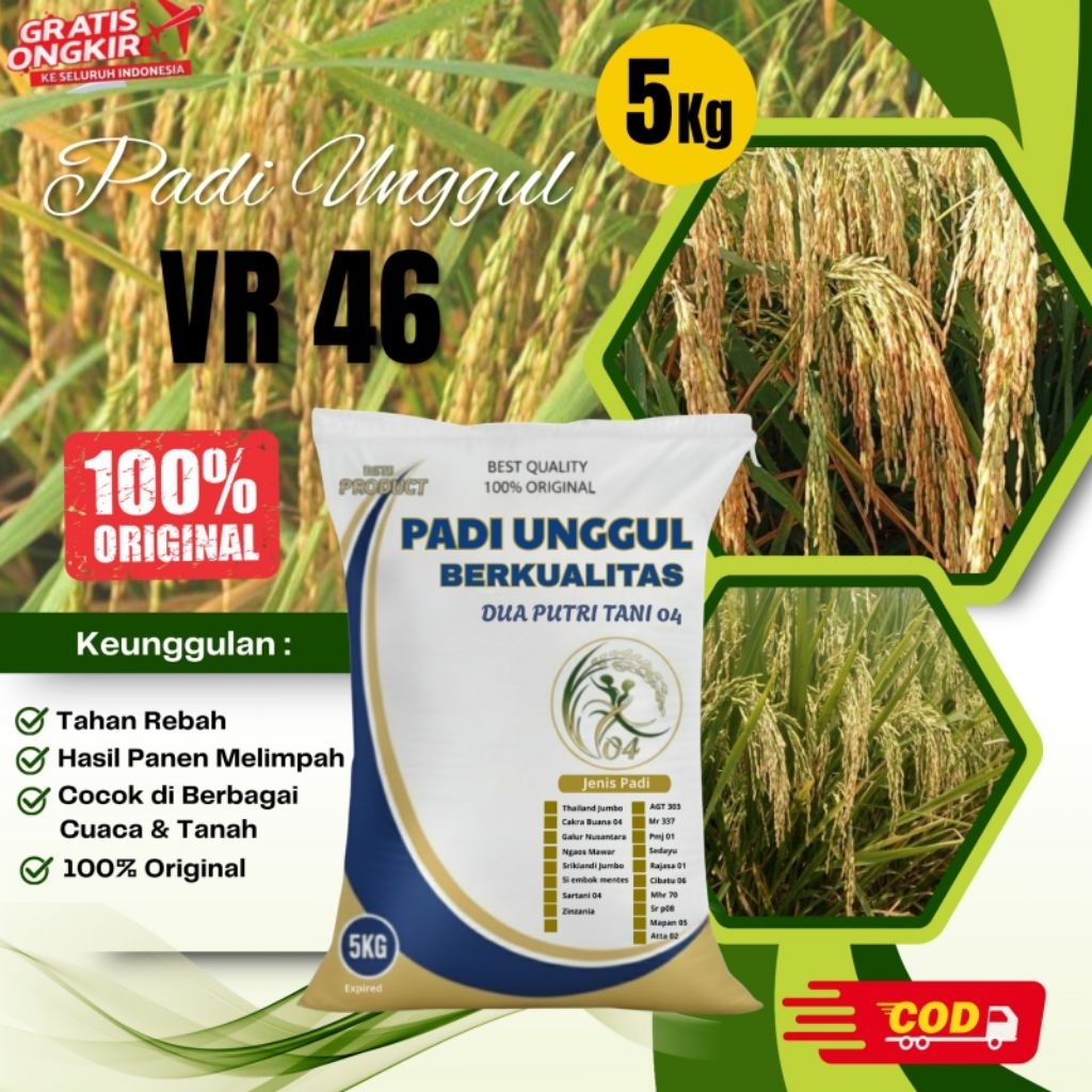 bibit PADI VR 46 kemasan 5kg