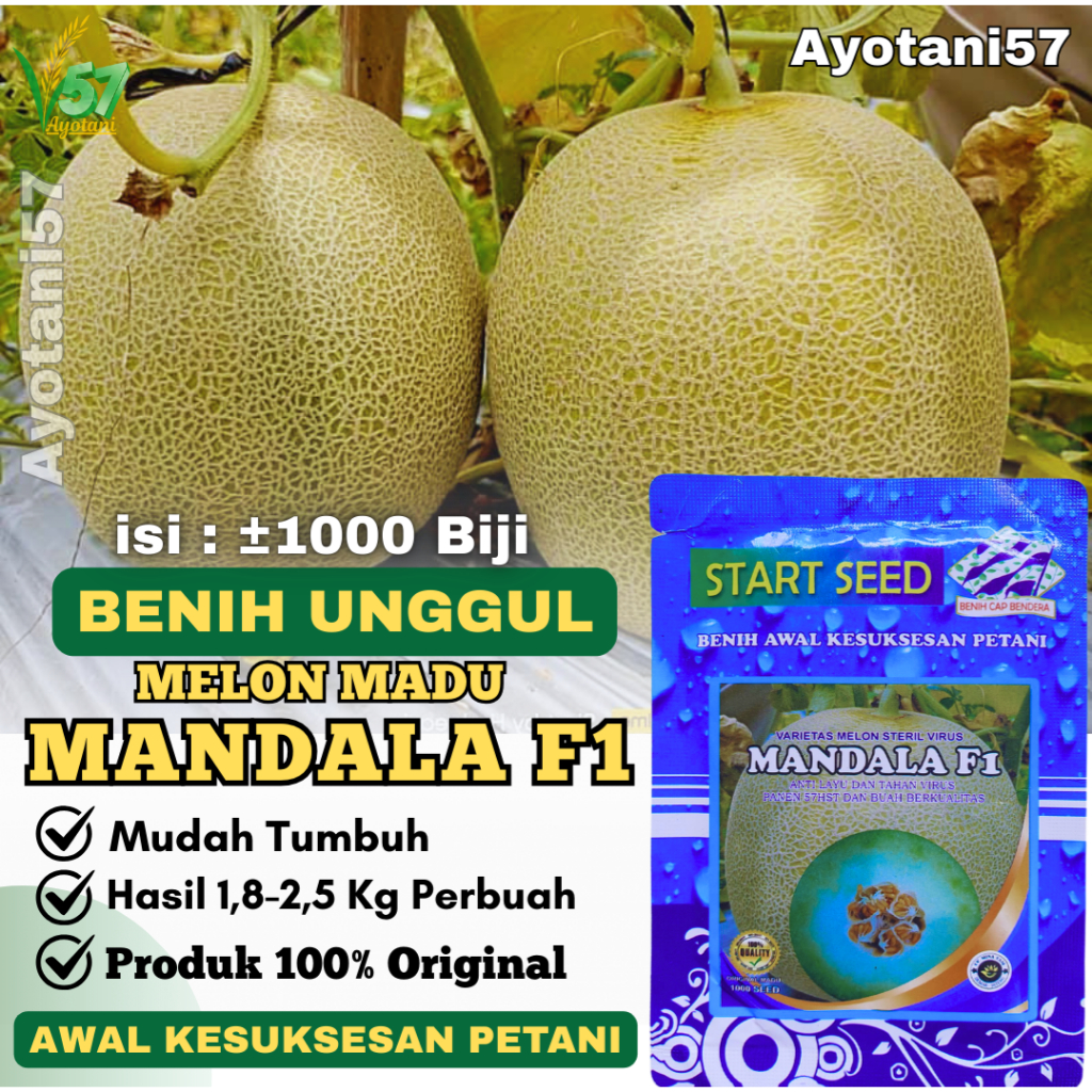 Bibit Melon Madu MANDALA F1 Benih Melon Jumbo Mudah Tumbuh Anti llayu Tahan Virus