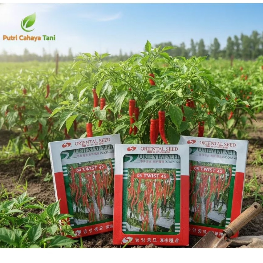 Bibit Cabe OR TWIST 42 10 gram Oriental Seed