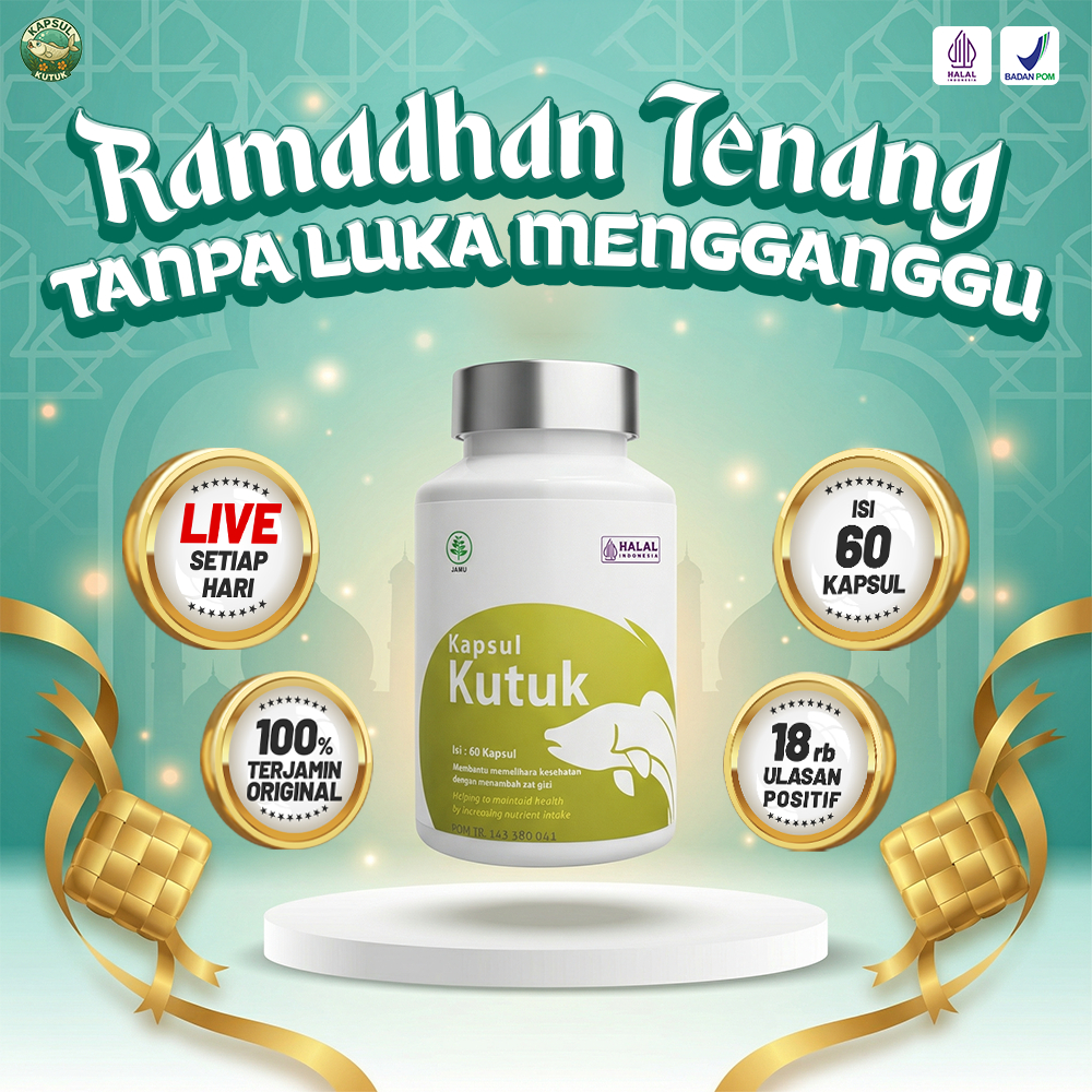 Distributor Resmi Kapsul Kutuk Premium Albumin Luka Cepat Sembuh kapsul ikan gabus albumin original 