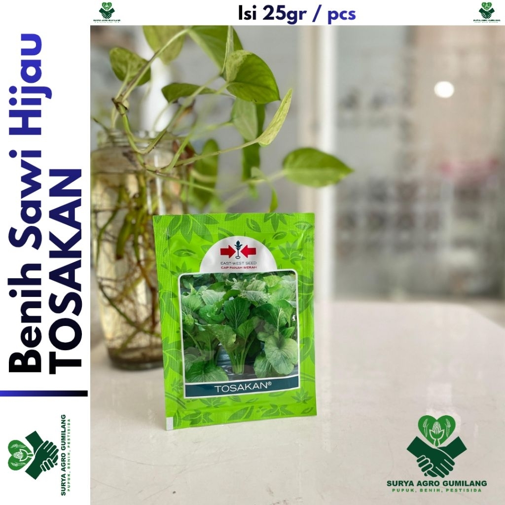 Benih Sawi TOSAKAN 25gr | Benih Sawi Panah Merah | Benih Bibit TOSAKAN