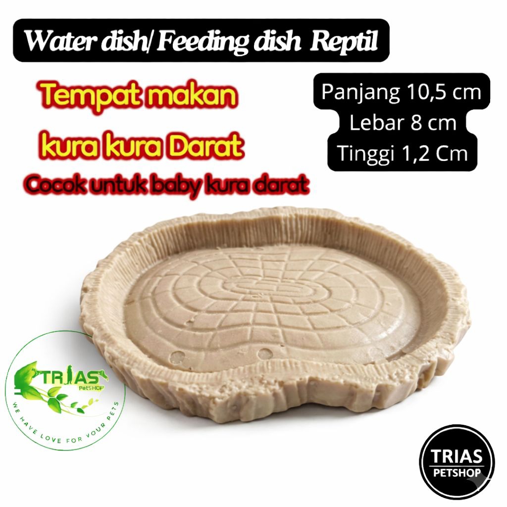 Tempat Makan Kura Kura Darat Baby | Feeding Dish Reptil Resin | Mangkok Pakan sulcata pardalis baby