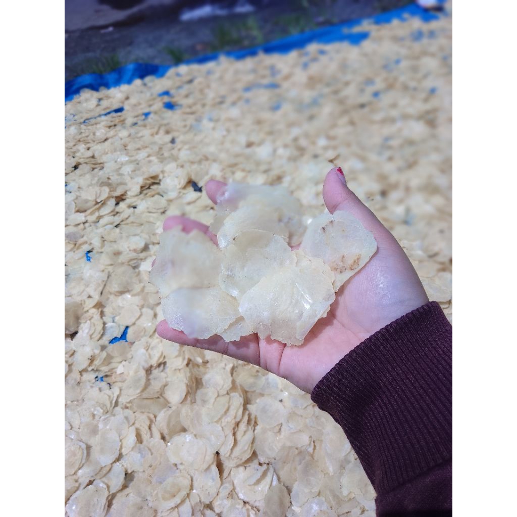 Emping melinjo mentah 1 biji melinjo asli limpung