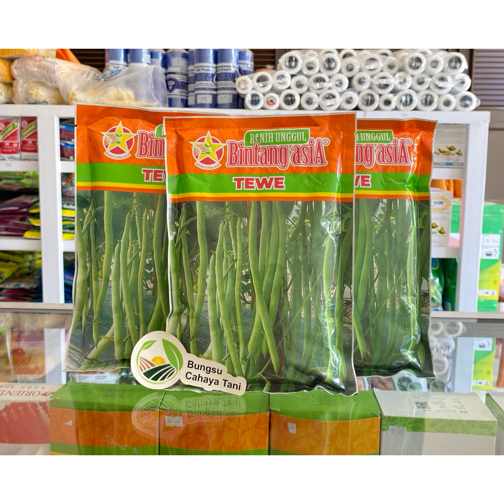 Benih Buncis TEWE 500gr Bintang Asia