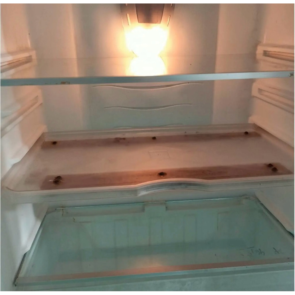 Rak Kulkas Sharp 1 Pintu 2 Pintu Original