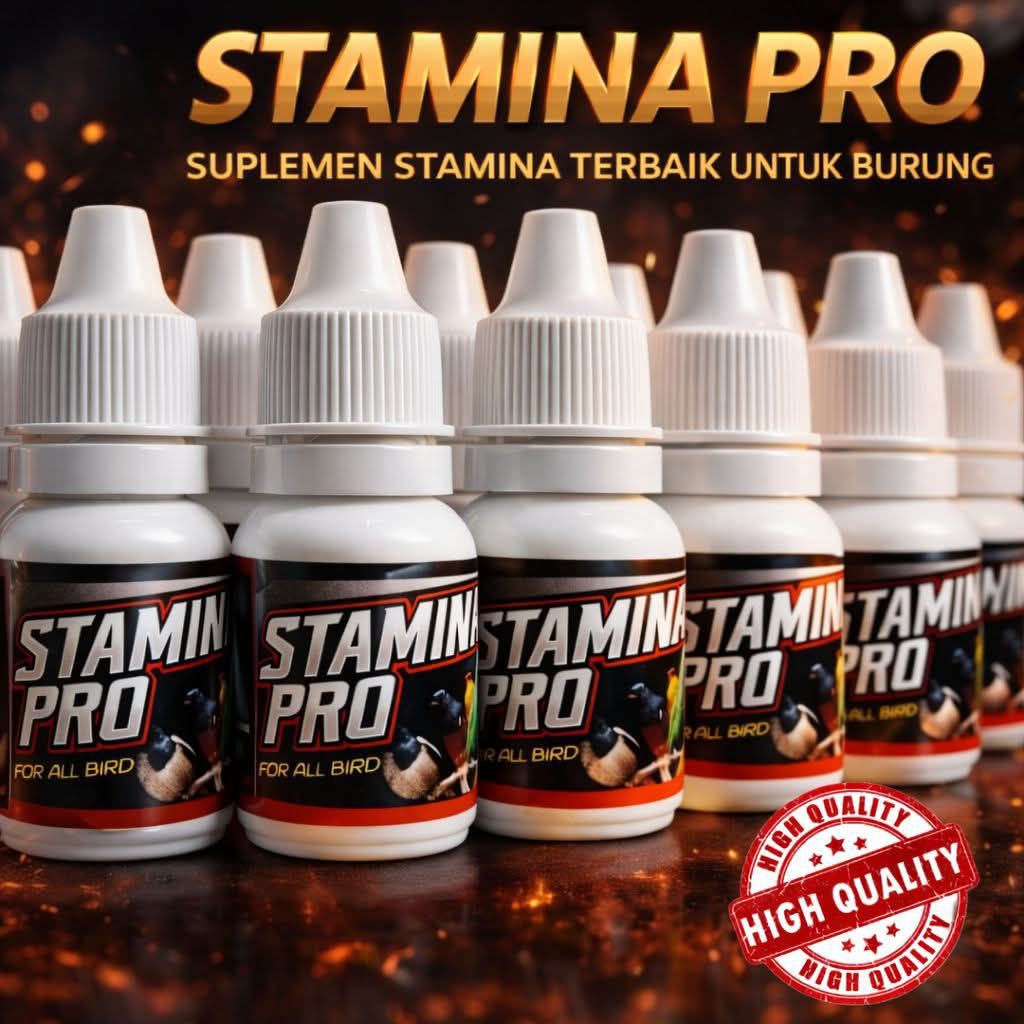 stamina pro jebol birahi