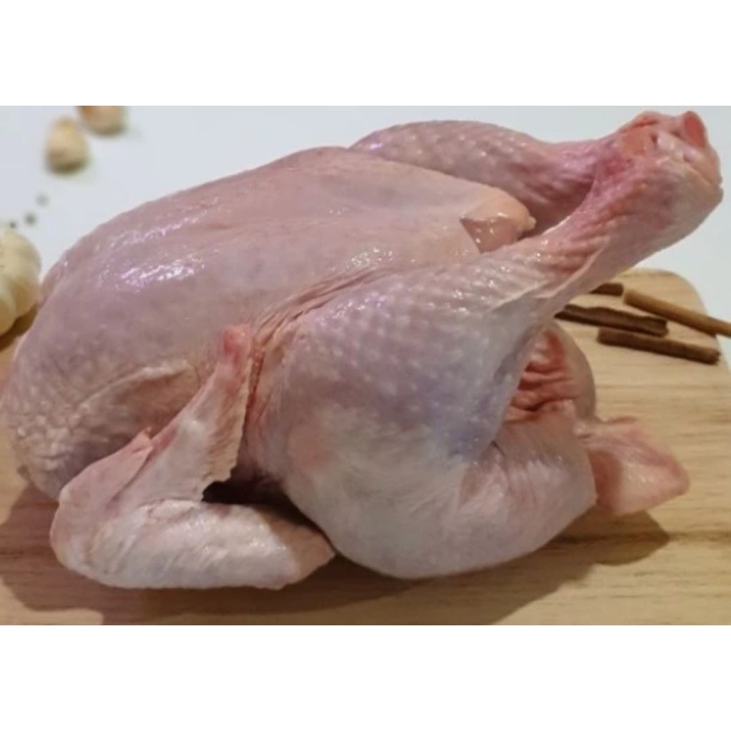 Ayam Potong Fresh