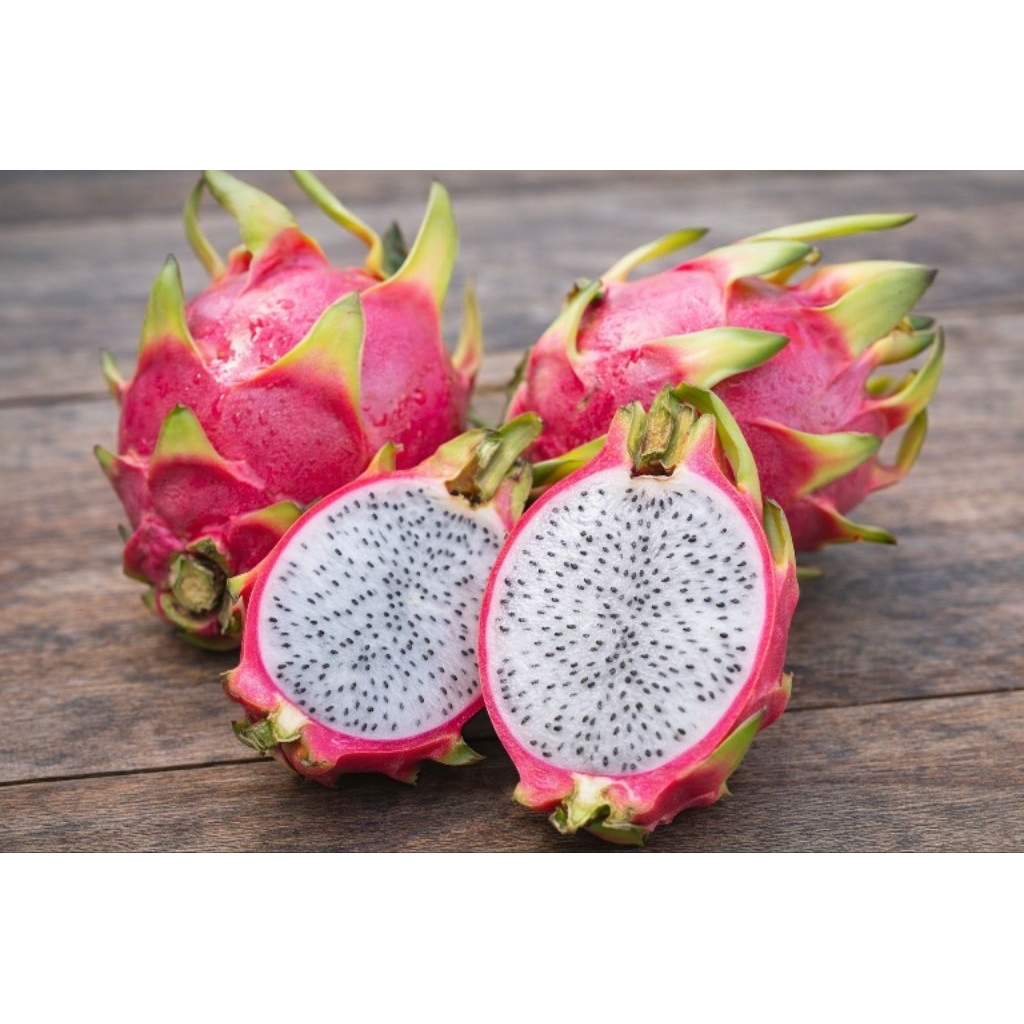 BUAH NAGA PUTIH FULL ORGANIK BERAT 1 KG