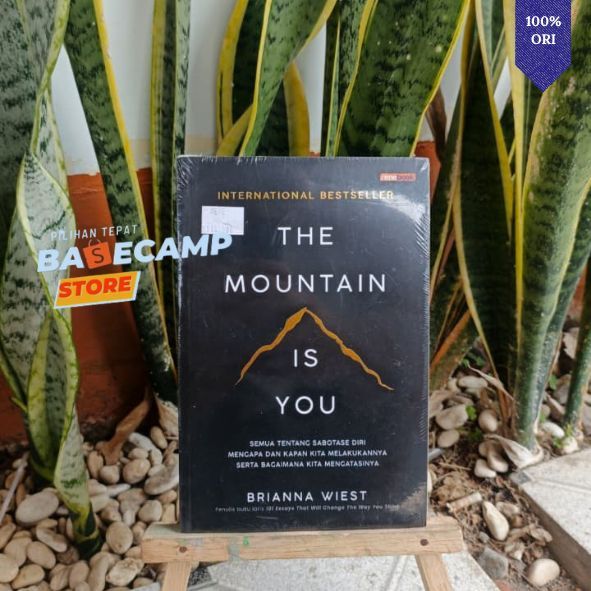 The Mountain Is You Buku