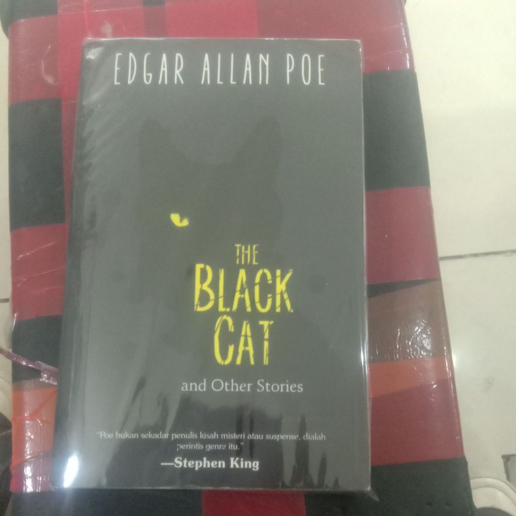 the black cat and other stories by edgar allan poe
