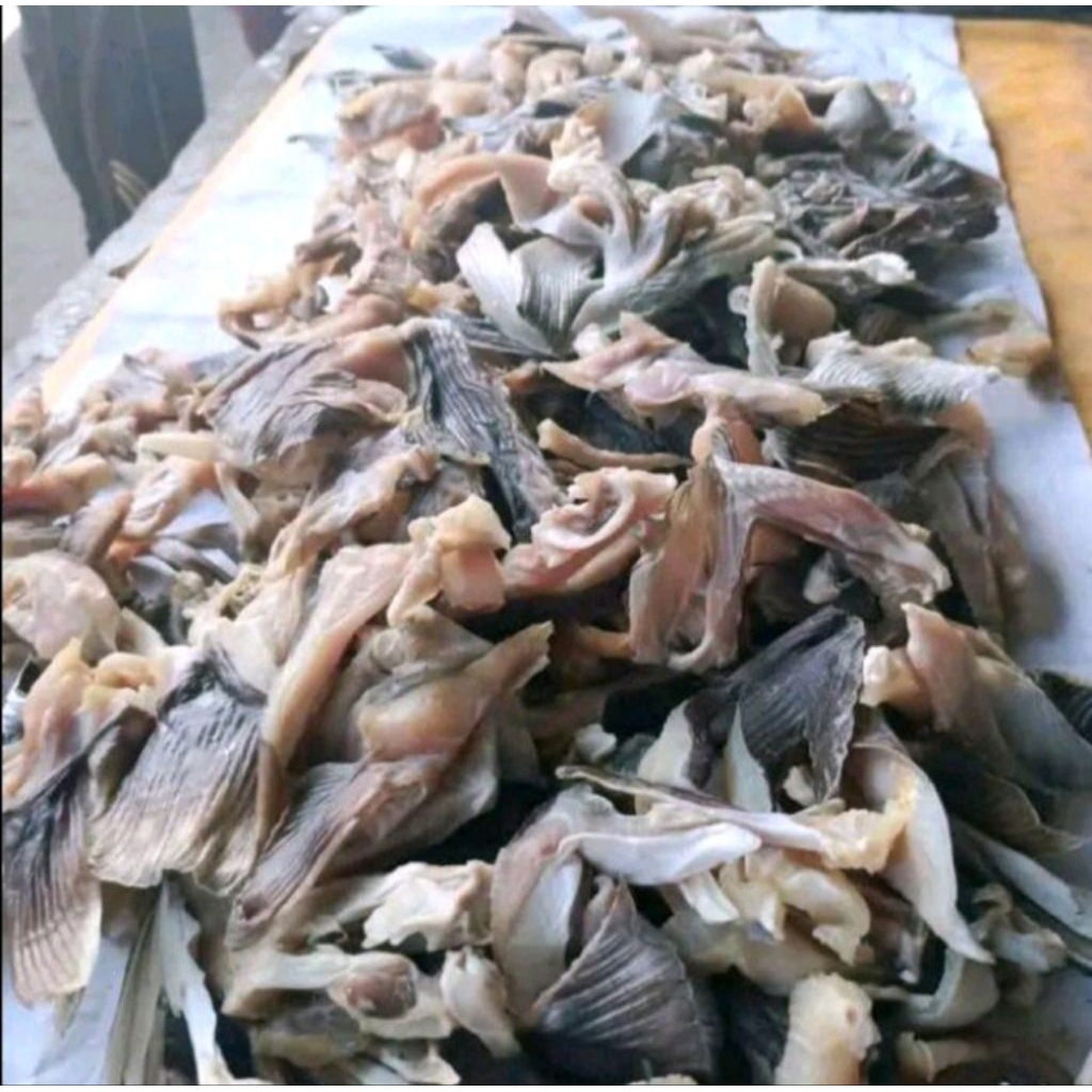 ikan asin Pari,Ikan Asin pari daging Empuk Sedap, ikan asin pari fresh Tanpa pengawet.