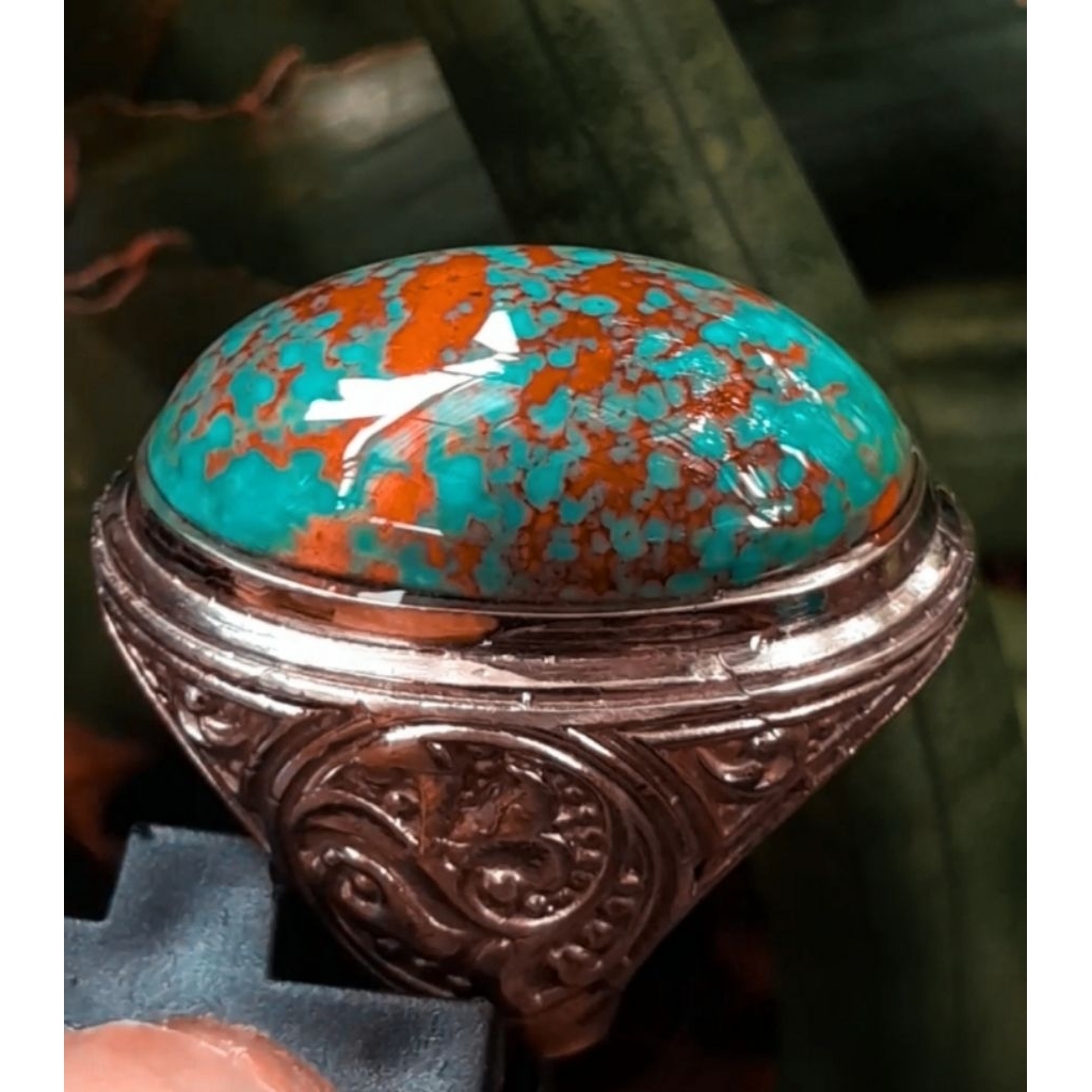 Pirus Persia Neyshabur Hijau ceplok kuro urat emas HQ size jumbo mumbul