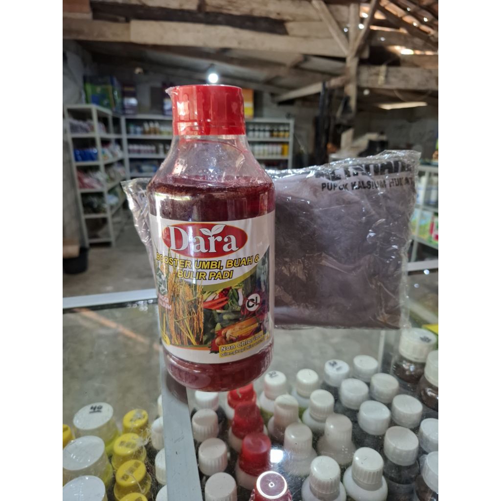 DARA Boster Umbi, Buah dan Bulir Padi