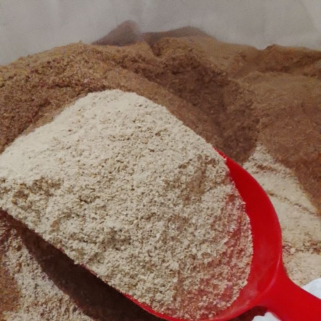 Polar Gandum Cap Angsa Bogasari Bahan Baku Pakan Ternak