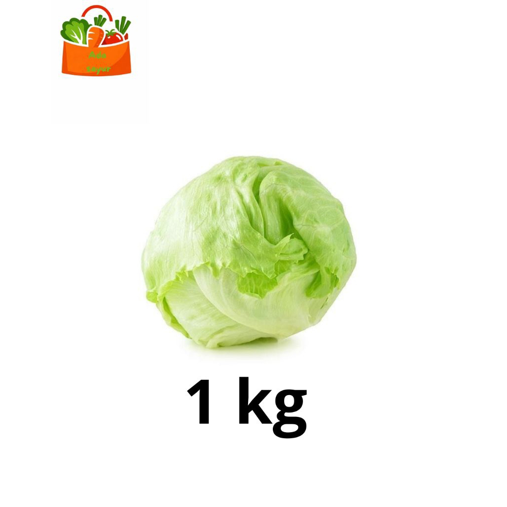 lettuce segar 1kg