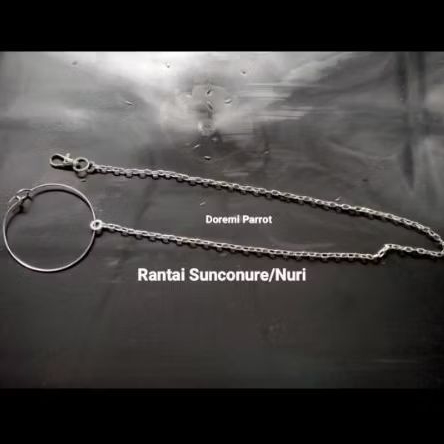 Rantai Burung SUNCONURE/NURI