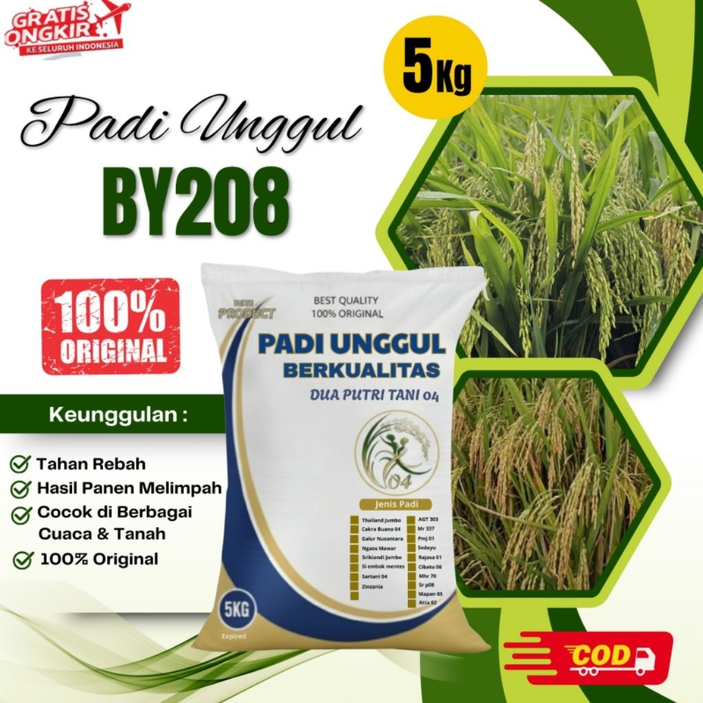 Benih padi unggul BY 208 kemasan 5Kg