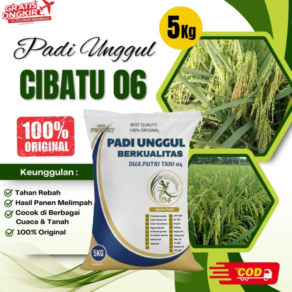 Benih padi unggul cibatu 05 kemasan 5Kg