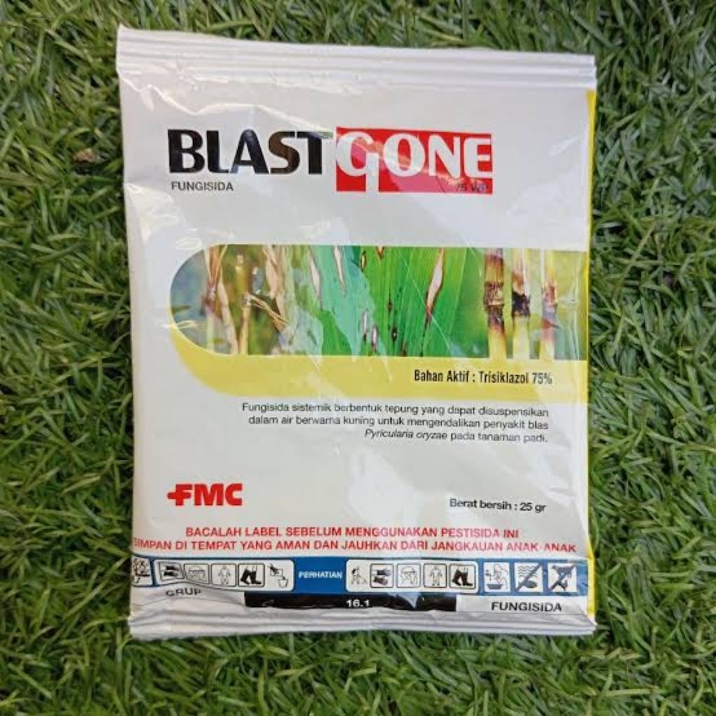 Fungisida Blast gone 25 gram