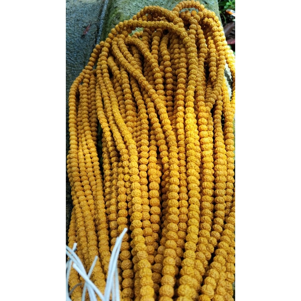 kalung jenitri 1 kilo kualitas premium size 9-10 mili warna kuning