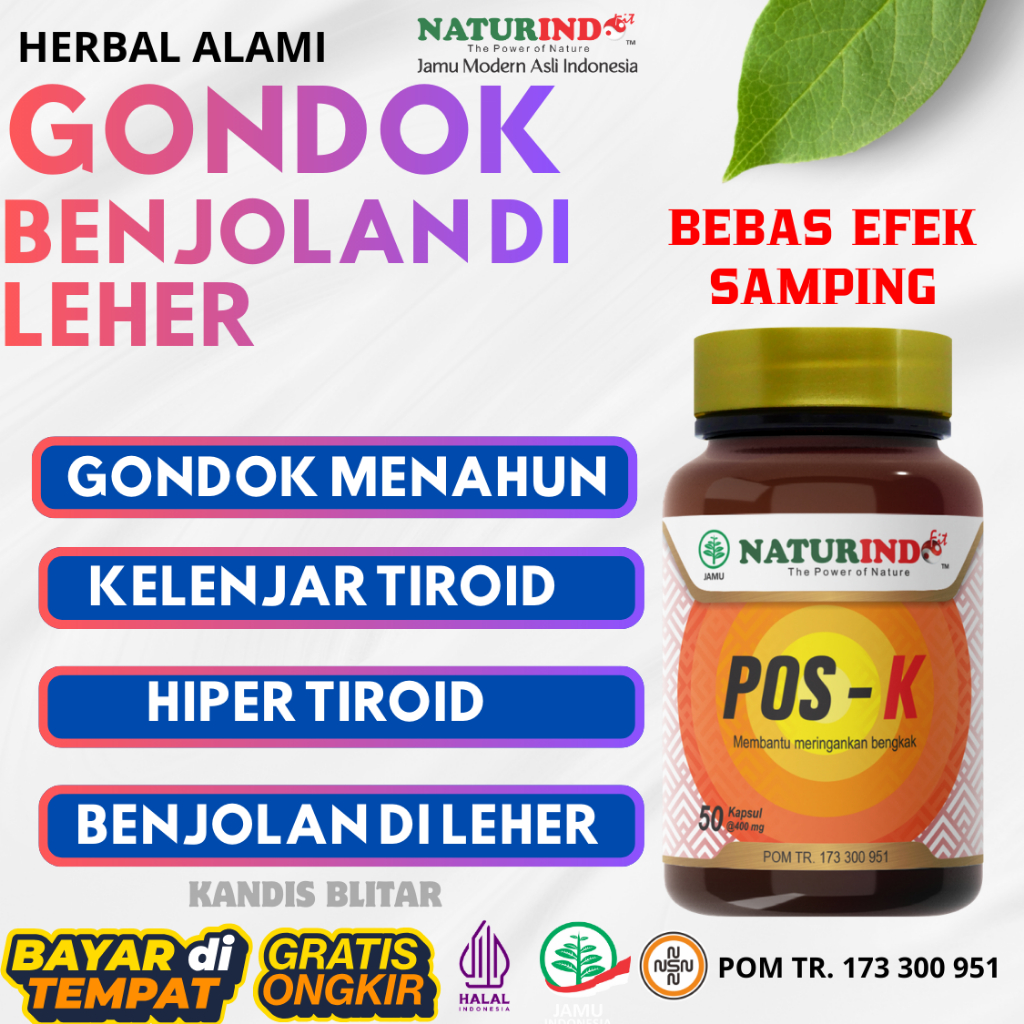 Obat Benjolan Di Leher Lipoma Tiroid Bengkak Ampuh Herbal Naturindo