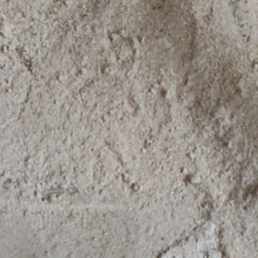 Bekatul/Katul/Dedak Padi