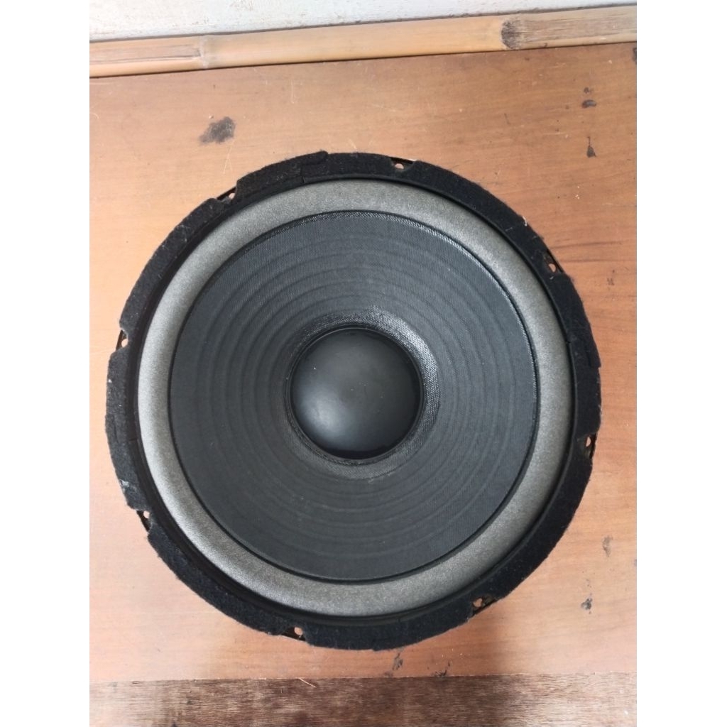 SPEAKER 10 INCH WOFER