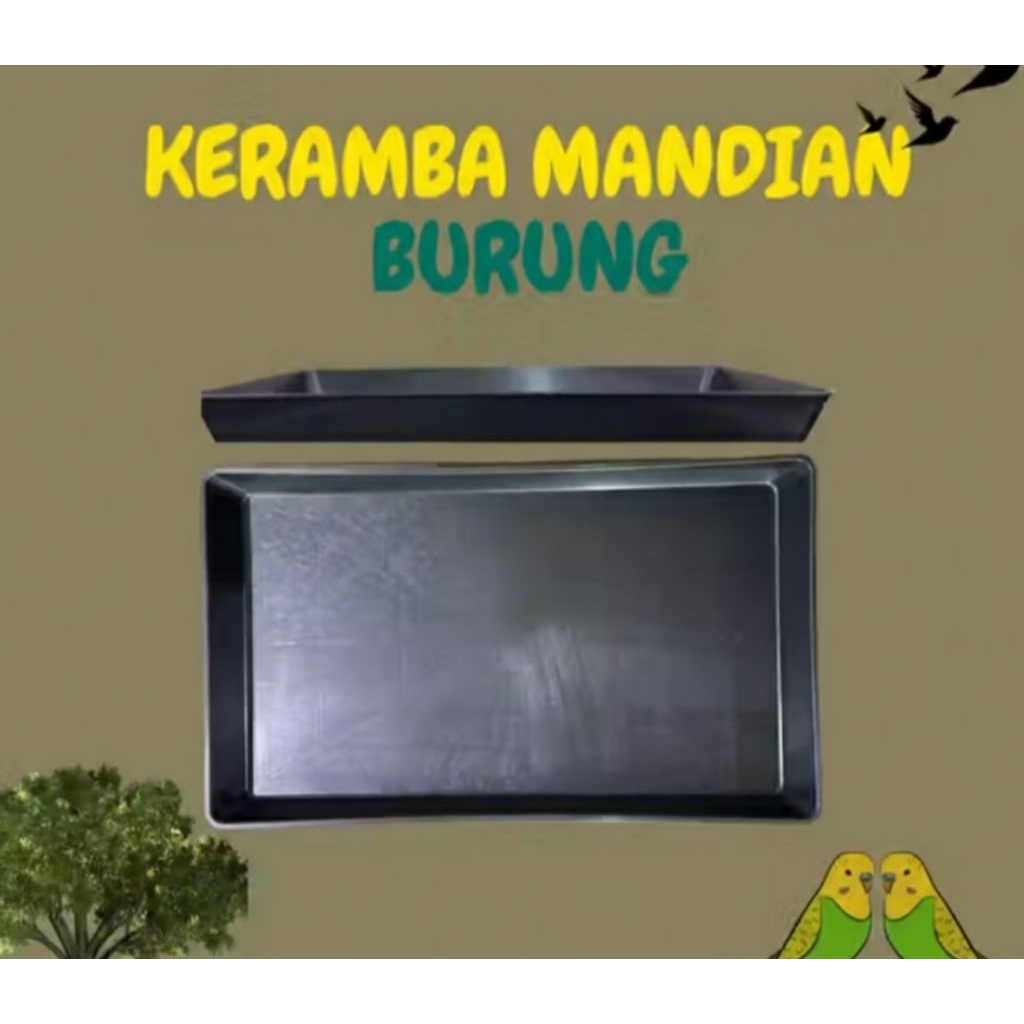 keramba nampan baki mandian burung sangkar kotak tebal dan termurah 55x33 cm